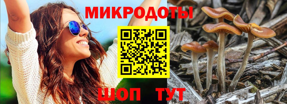 Галлюциногенные грибы Psilocybine cubensis  Псилоцибиновые грибы Psilocybine cubensis  Калининград  Вход с VPN 