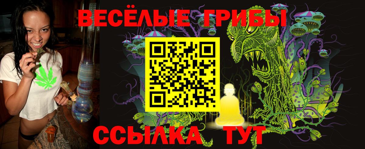 Галлюциногенные грибы Psilocybine cubensis Калининград